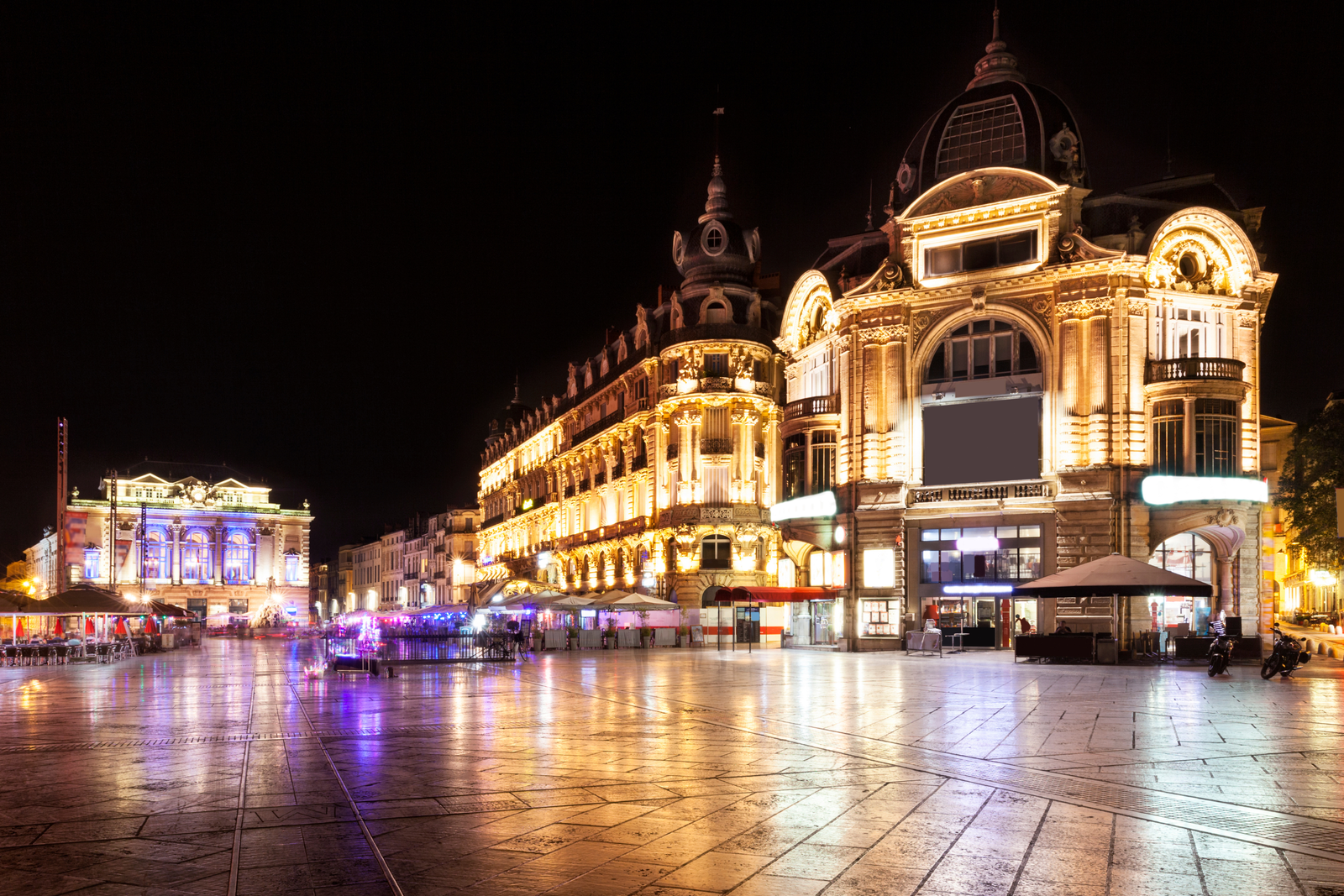 Montpellier ville Immoprestige agence immobilière